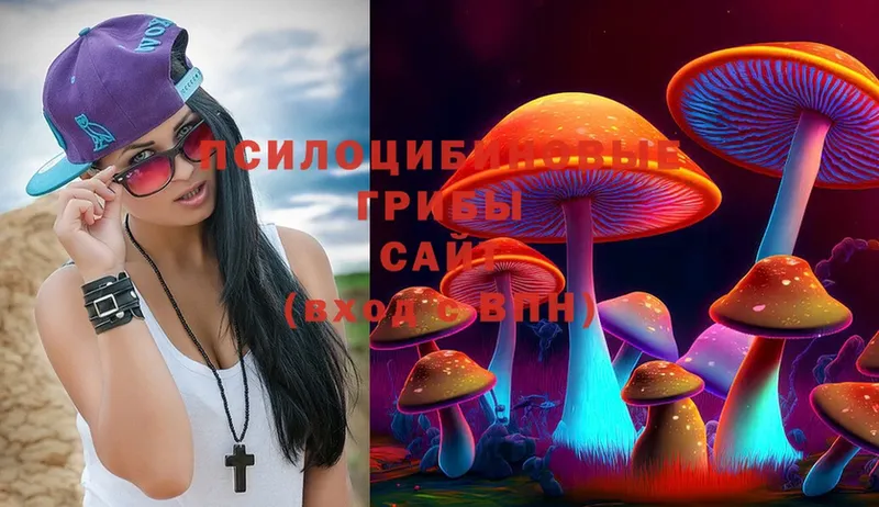 Псилоцибиновые грибы Psilocybine cubensis  Кропоткин 